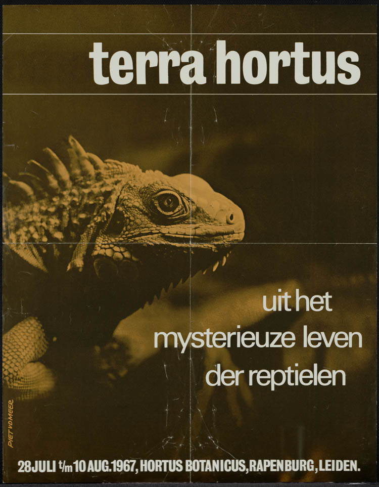TerraHortus - 1967