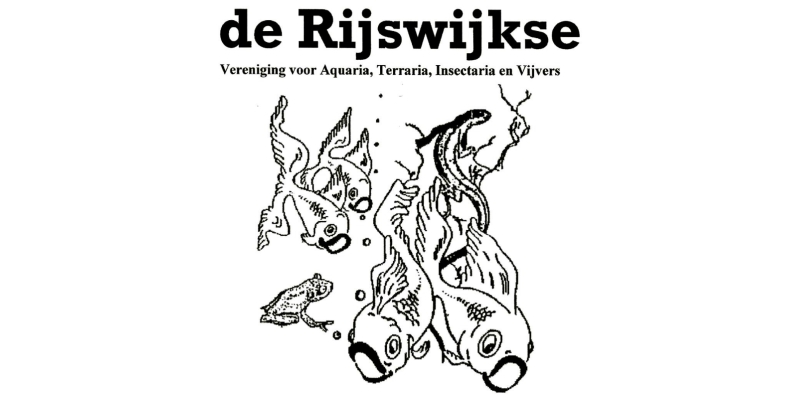 DeRijswijkse-logo