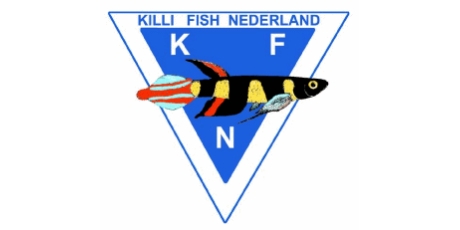 KFN-logo1