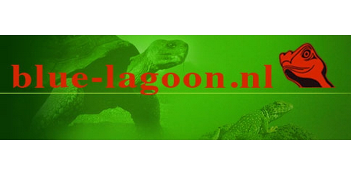 blue-lagoon-logo