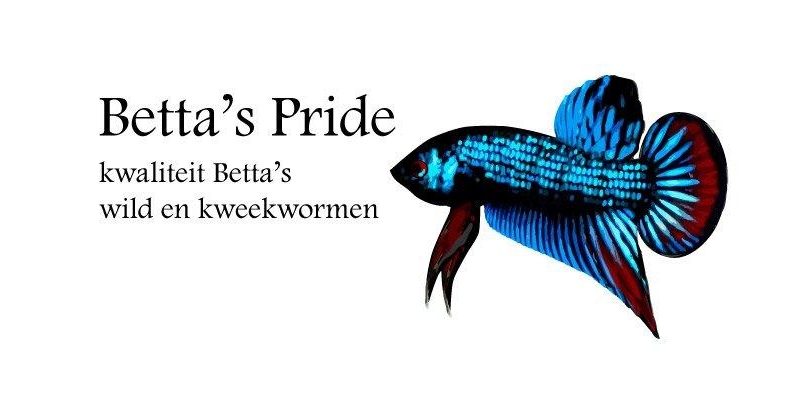 BettasPride-logo