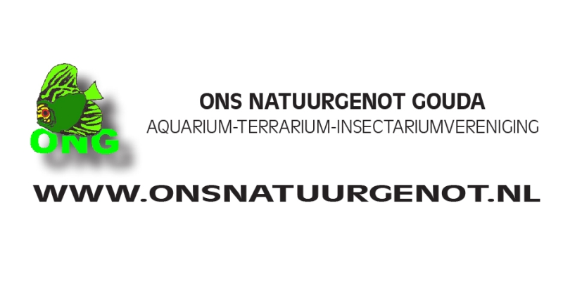 ong-logo